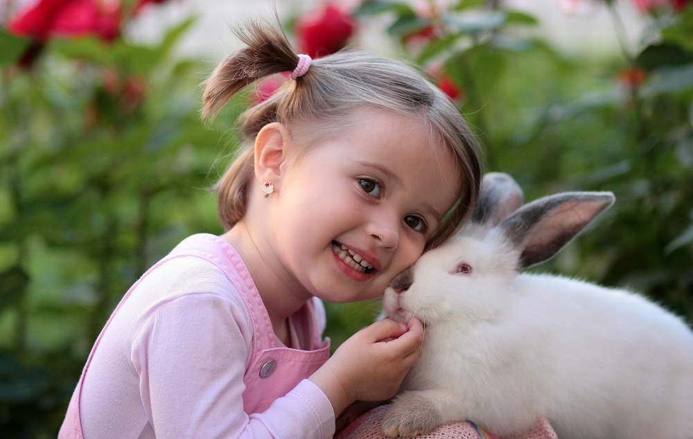 toddler caressing a white bunny