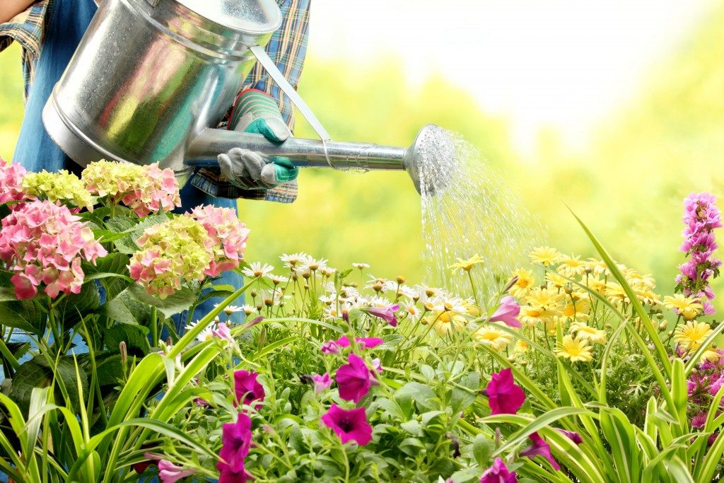 Gardener watering the plants
