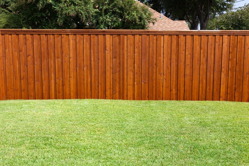 lawn with a fence