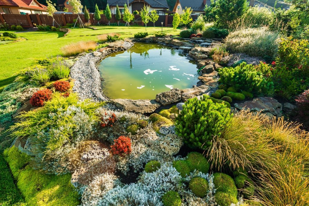 Landscaped yard with artificial pond