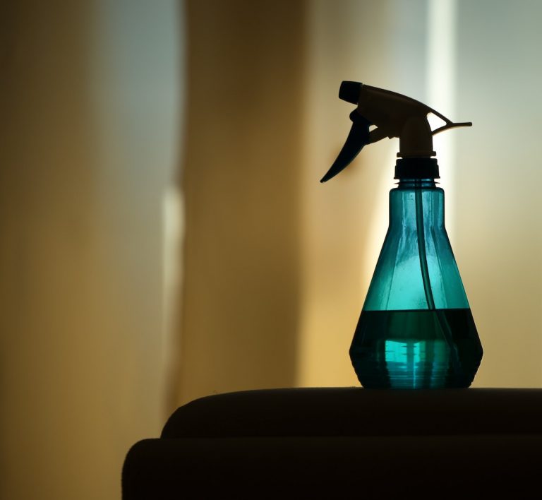 How to Make Homemade Bed Bug Spray Catsup and Mustard