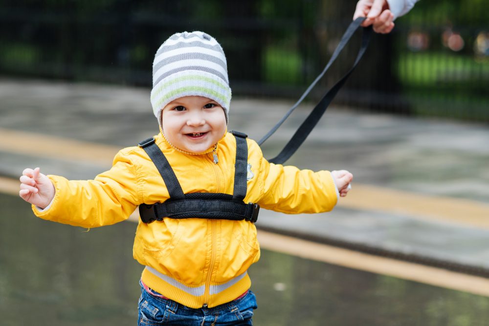 The Kiddie Leash A Guide for Parents Catsup and Mustard