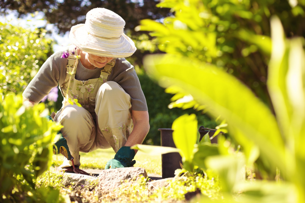 A senior woman working on her backyard garden with tools