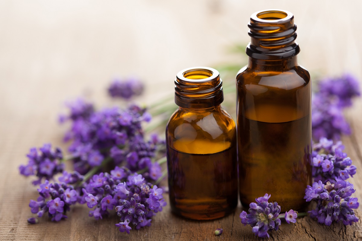 Bottles of lavender flowers and essential oil on a table.