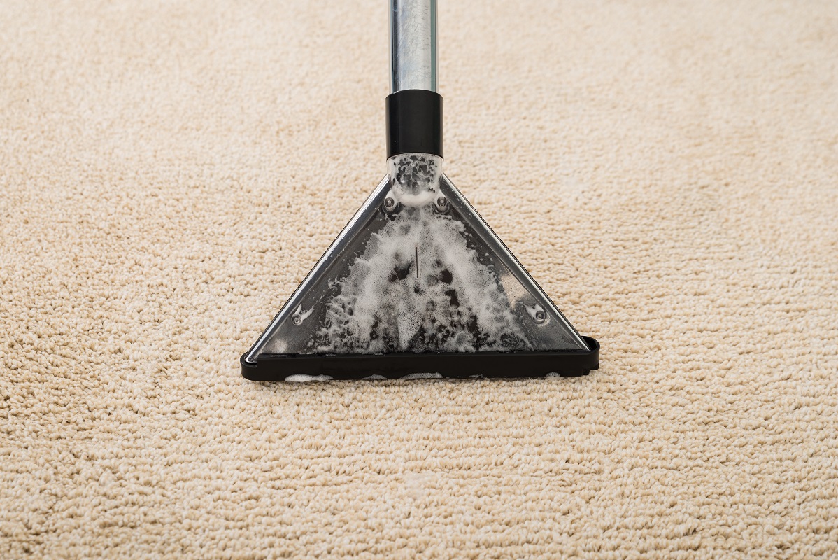 A vacuum over a carpet