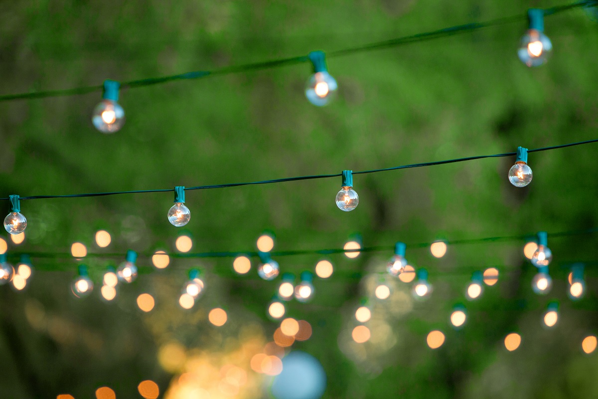 string lights in backyard garden