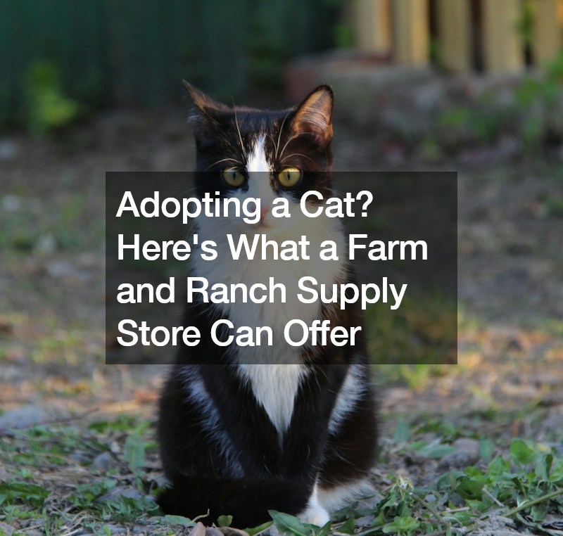 Adopting a Cat? Heres What a Farm and Ranch Supply Store Can Offer