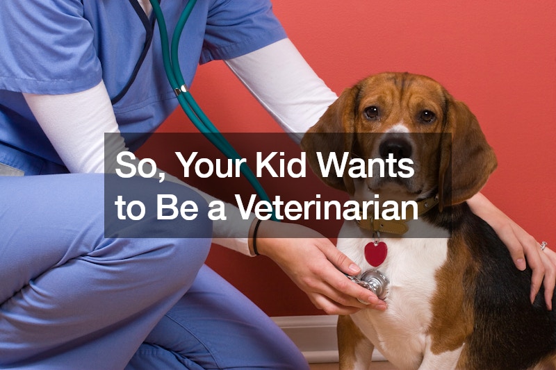 So, Your Kid Wants to Be a Veterinarian