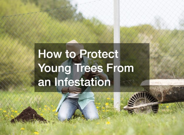 How to Protect Young Trees From an Infestation