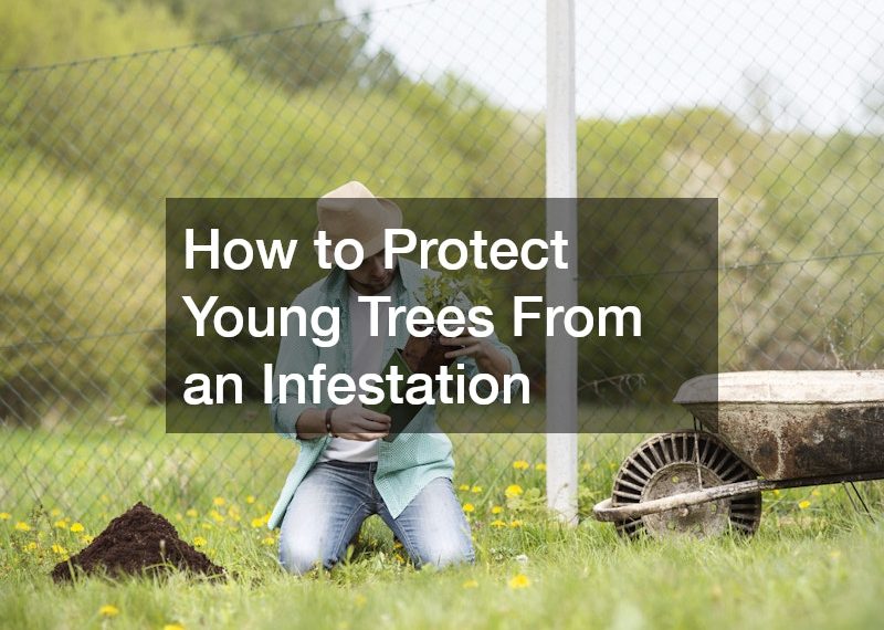 How to Protect Young Trees From an Infestation